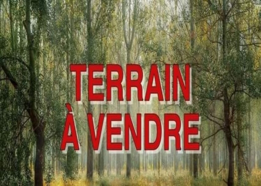 Palmarès immobilière met en vente un terrain à Yak - Bien immobilier à {"id":1,"country_id":219,"name":"ARIANA","slug":"ariana"} - Agence Immobilière immo\'in